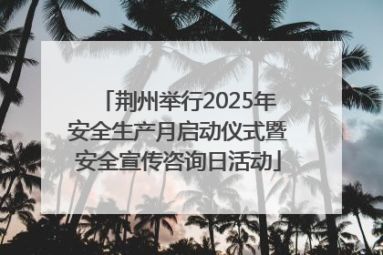 荆州举行2025年安全生产月启动仪式暨安全宣传咨询日活动