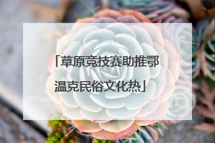 草原竞技赛助推鄂温克民俗文化热