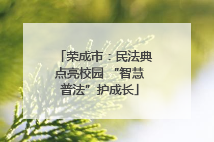 荣成市：民法典点亮校园 “智慧普法”护成长