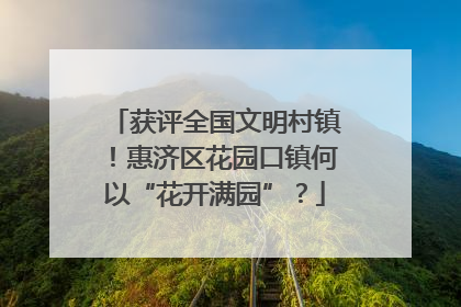 获评全国文明村镇！惠济区花园口镇何以“花开满园”？