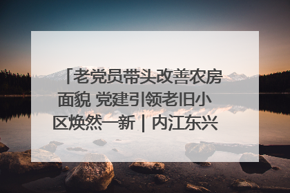 老党员带头改善农房面貌 党建引领老旧小区焕然一新｜内江东兴“红”在哪？④