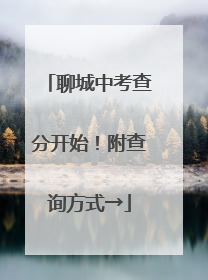 聊城中考查分开始！附查询方式→