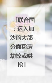 联合国：运入加沙的大部分面粉遭劫掠或哄抢