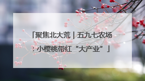 聚焦北大荒｜五九七农场：小樱桃带红“大产业”