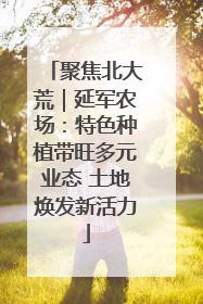 聚焦北大荒｜延军农场：特色种植带旺多元业态 土地焕发新活力