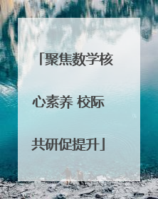 聚焦数学核心素养 校际共研促提升