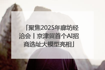 聚焦2025年廊坊经洽会丨京津冀首个AI招商选址大模型亮相