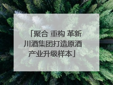聚合 重构 革新 川酒集团打造原酒产业升级样本