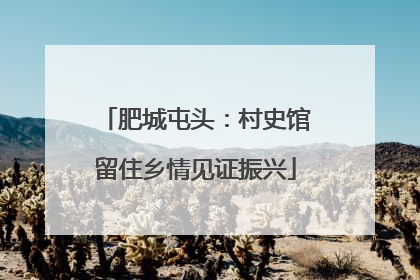 肥城屯头：村史馆留住乡情见证振兴