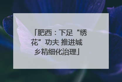 肥西：下足“绣花”功夫 推进城乡精细化治理