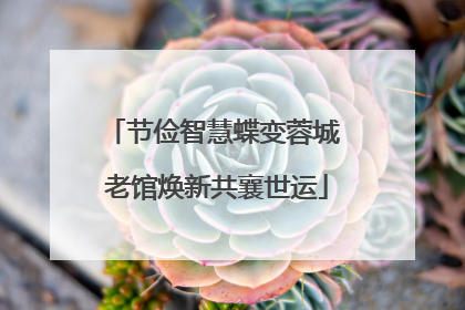 节俭智慧蝶变蓉城 老馆焕新共襄世运