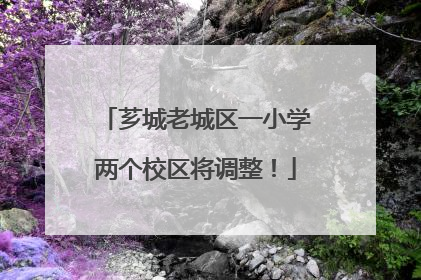 芗城老城区一小学两个校区将调整！