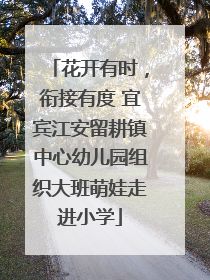 花开有时，衔接有度 宜宾江安留耕镇中心幼儿园组织大班萌娃走进小学