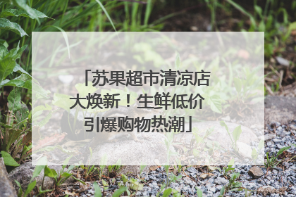 苏果超市清凉店大焕新！生鲜低价引爆购物热潮