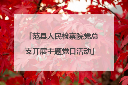 范县人民检察院党总支开展主题党日活动