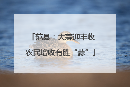 范县：大蒜迎丰收 农民增收有胜“蒜”