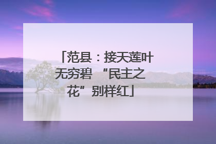 范县：接天莲叶无穷碧 “民主之花”别样红