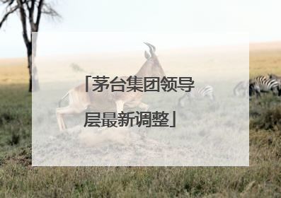 茅台集团领导层最新调整