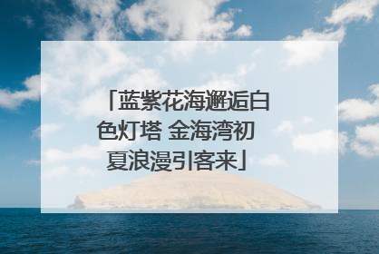 蓝紫花海邂逅白色灯塔 金海湾初夏浪漫引客来
