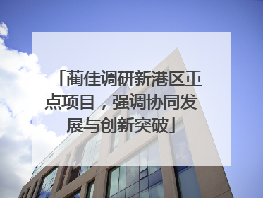 蔺佳调研新港区重点项目，强调协同发展与创新突破