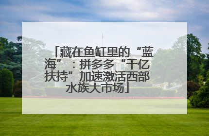 藏在鱼缸里的“蓝海”：拼多多“千亿扶持”加速激活西部水族大市场