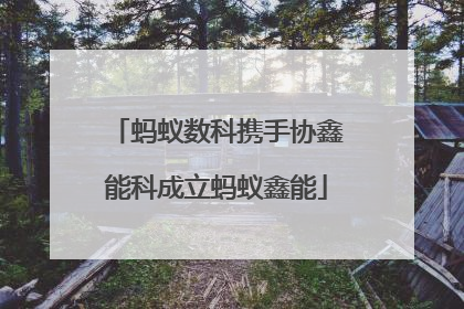 蚂蚁数科携手协鑫能科成立蚂蚁鑫能