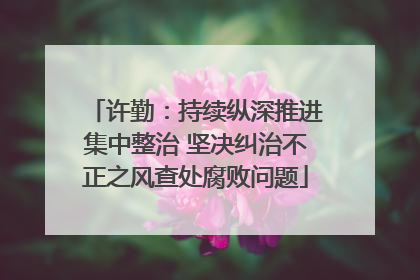 许勤：持续纵深推进集中整治 坚决纠治不正之风查处腐败问题