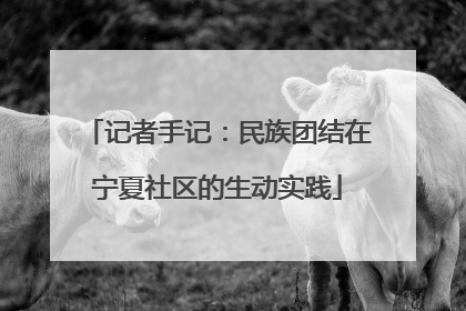 记者手记：民族团结在宁夏社区的生动实践