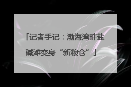 记者手记：渤海湾畔盐碱滩变身“新粮仓”