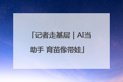 记者走基层｜AI当助手 育苗像带娃