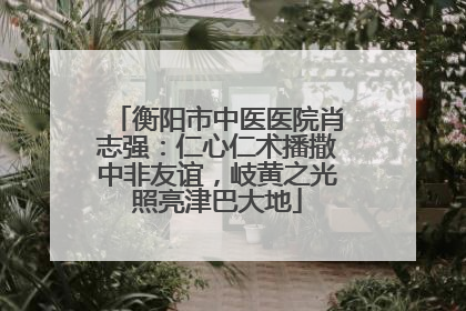 衡阳市中医医院肖志强：仁心仁术播撒中非友谊，岐黄之光照亮津巴大地