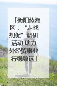 衡阳蒸湘区：“走找想促”调研活动 助力外经贸事业行稳致远