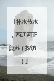 补水节水，西辽河正复苏（探访）