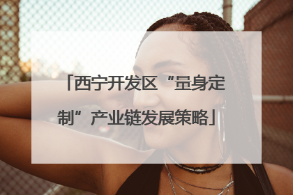 西宁开发区“量身定制”产业链发展策略