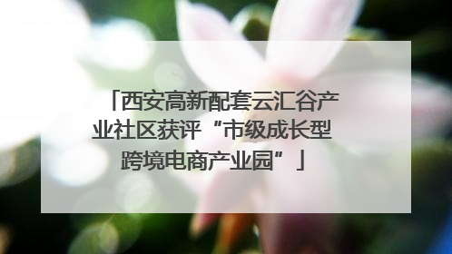 西安高新配套云汇谷产业社区获评“市级成长型跨境电商产业园”