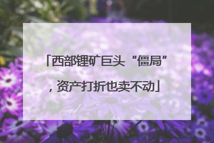 西部锂矿巨头“僵局”，资产打折也卖不动