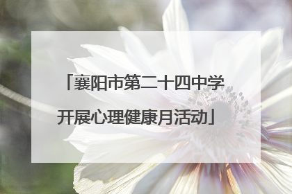 襄阳市第二十四中学开展心理健康月活动