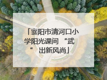 襄阳市清河口小学阳光课间 “武” 出新风尚
