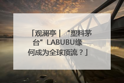 观澜亭｜“塑料茅台”LABUBU缘何成为全球顶流？