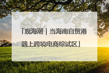 观海潮｜当海南自贸港遇上跨境电商综试区