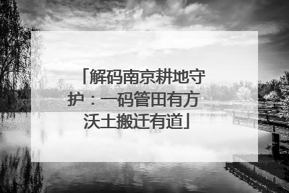 解码南京耕地守护：一码管田有方 沃土搬迁有道