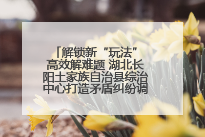 解锁新“玩法” 高效解难题 湖北长阳土家族自治县综治中心打造矛盾纠纷调处“终点站”