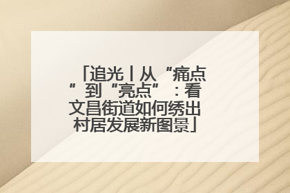 追光丨从“痛点”到“亮点”：看文昌街道如何绣出村居发展新图景