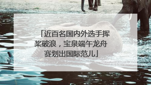 近百名国内外选手挥桨破浪，宝泉端午龙舟赛划出国际范儿