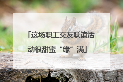这场职工交友联谊活动很甜蜜“缘”满