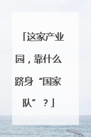 这家产业园，靠什么跻身“国家队”？