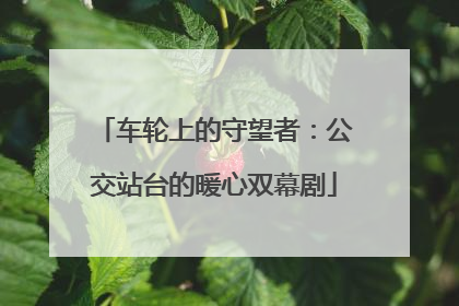 车轮上的守望者：公交站台的暖心双幕剧