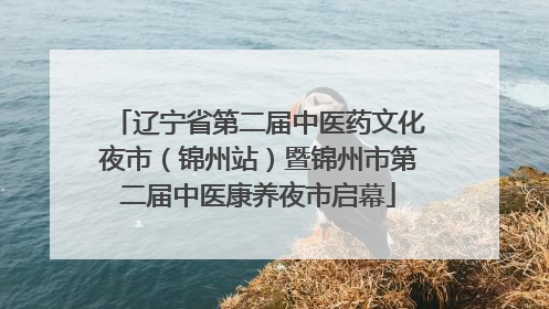 辽宁省第二届中医药文化夜市（锦州站）暨锦州市第二届中医康养夜市启幕