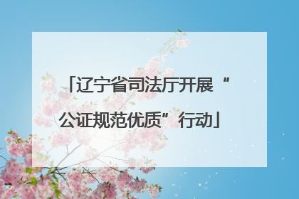 辽宁省司法厅开展“公证规范优质”行动