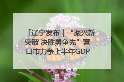辽宁发布｜“振兴新突破 决胜勇争先”营口市力争上半年GDP增长6%左右